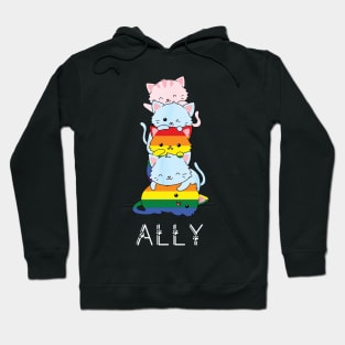 Pride Ally Cat /pride allyship Hoodie